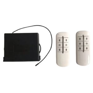 Electric Actuator Controller Move Individually 2CH Remote Control System 12V 30A