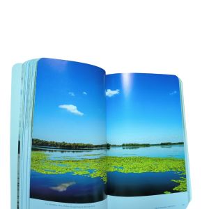Full Color Offset Printing 80gsm Rounded Corner Textbook Printing Service for