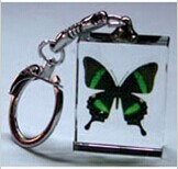 Quality Crystal Transparent Butterfly Key Chain wholesale