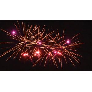 Outdoor 20 Shots Celebration Cake Pyrotechnics Fan Shaped Customized 1.4g