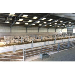 Customized Prefabricated Steel Structure Goat Farming Shed House with Sliding