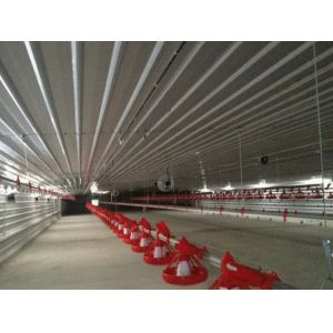 Cheap Automatic Steel Structure Peb Customized Poultry Chicken Farming Shed for sale