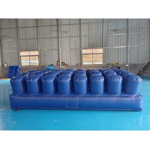 Commercial 0.55mm PVC Tarpaulin Inflatable Sport Game Inflatable Obstacle Course