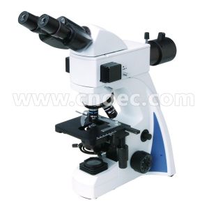 1000x LED Fluorescence Microscope With 30°Inclined Head A16.1030