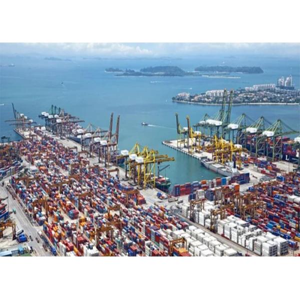 China To Valparaiso FCL Sea Freight , Full Container Load Shipping