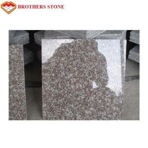 G664 Granite Stone Tiles 24x24 Acid Resistant With 2.61g/Cm3 Density