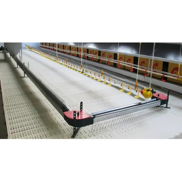 Poultry Farm Plastic Slatted Floor Broiler House 2kg 16*16mm / 20*26mm Hole
