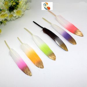 5-6inch Two Tones Millinery Feather , Colored Turkey Feathers For Fashionable