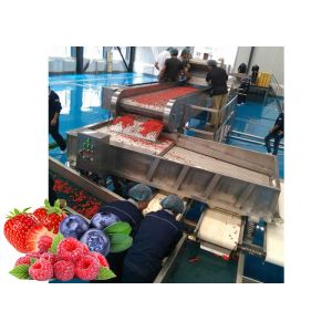 Industrial Blueberry Processing Machinery For Automatic Berry Juice Production