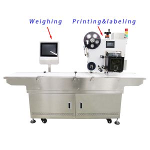 Self-Adhesive Labeling and Online Weighing Checkweigher for Automatic Food