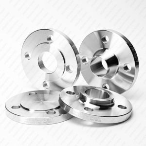 304L Grade Stainless Steel Flanges Customizable With OBM Support