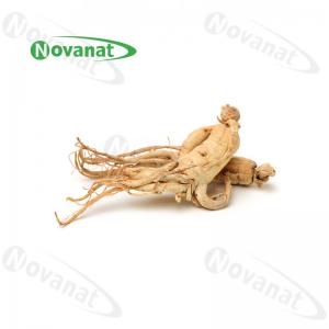 Cheap Dry Ginseng Root Organic Dried Herbs Improving immunity / Clean Label for sale