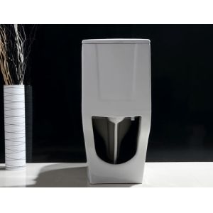 Dual-Flush Single Piece Toilet with Scratch Resistant Glaze