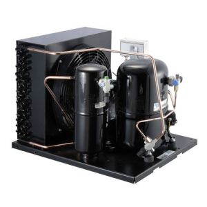 TAG2522ZBR Commercial 6HP Refrigeration Unit Air Cooled R404 Refrigerant Cold