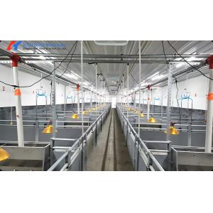 Steel Structure Piggery Farm House Easy Install With Feeding System