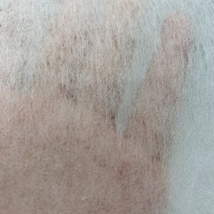 Spunlace Nonwoven 120gsm GAOXIN 1025HF FUSING Chemical Bond Fusible Interlining