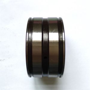 Full Complement Cylindrical Roller Bearings SL04 5010 PP