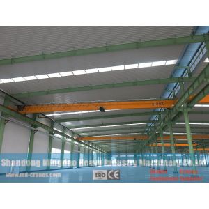 LDE Model Europe Standard 10 ton Single Girder Crane, European Type Single
