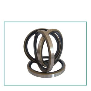 China TA Type Double Lip Rotary Shaft Oil 40mm Rubber O Ring on sale