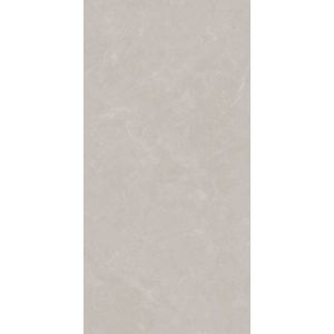 Gray Elegant And Stylish 400x800mm Matt Glazed Ceramic Wall Tile For Project And