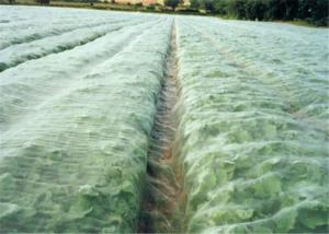 Cheap High Density Hail Protection Net / Window Screen Mesh Size Customized for sale