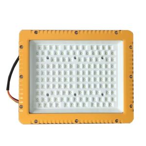 OEM Hazardous Explosion Proof Lighting Fixtures Wall Mount Flood Light
