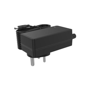 48W Max India Plug 12V 4A Switching Power Supply 24V 2A Wall Mount AC DC Adapter