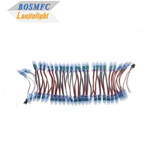 RGB Full Color Pixel Waterproof WS2811 Pixels Digital Addressable LED Globe