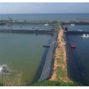 0.1mm-3mm Thickness HDPE Geomembrane Sheet For Fish Farm Pond Liner