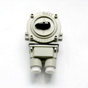 High Protection Level Explosion Proof Switch IP65 Rated 220V/380V Voltage