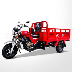 China Lifan Tricycle Cargo for Adults in Panama 1 Passenger Single Cylinder 4 Stroke Engine on sale