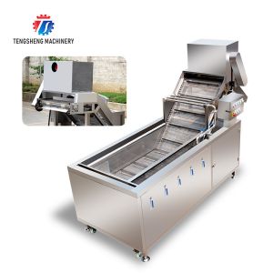 2.6KW Multi-functional fruit and vegetable bubble cleaning machine vegetable