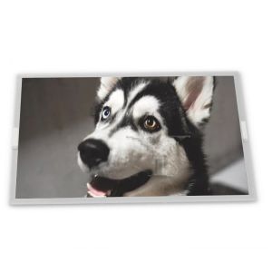 Cheap NL6448BC20-35D 6.5 Inch TFT LCD Display 640*480 Resolution 31-Pin Interface 6.5 Inch TFT LCD Modules for sale