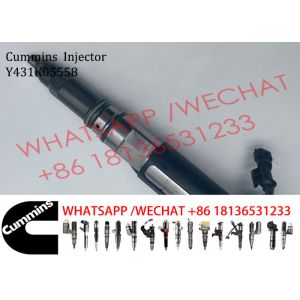 Diesel Common Rail Fuel QSK19 Pencil Injector Y431K05558 Y431K05417 4964171