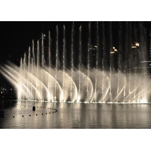 Fascinating Musical Water Fountain Project , Dancing Pool Fountain OEM Design