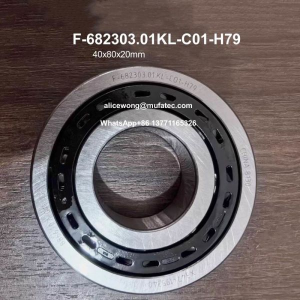 Quality F-682303.01.KL-C01-H79 F-682303 New Energy Vehicle Motor Bearings 40x80x20mm Ball Bearings wholesale