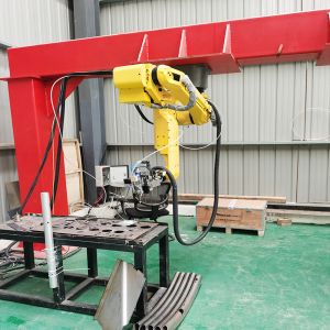 2000w 3000w 3D Robot Fiber Laser Cutting Machine with Intuitive Software