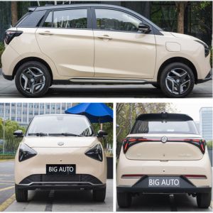 Big Space Electric Car Joy 01 Range Up To 335 Km High Speed 4-Seater Electric