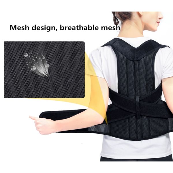 High Durability Magnetic Waist Back Support Belt Posture Lumbar Belt S M L Size
