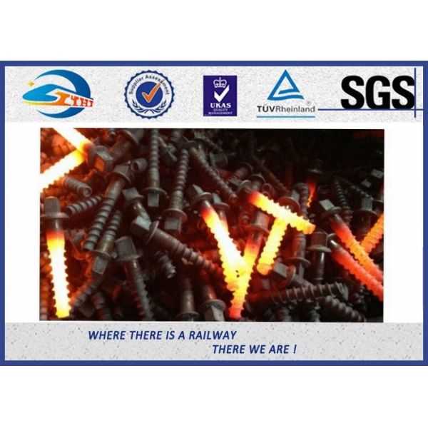 10.9 Grade 40Cr Steel Oxide Black Screw Spike Insert Plastic Dowel Railway Fasteners