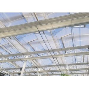 Agriculture Multi Span Polycarbonate Sheet Greenhouse