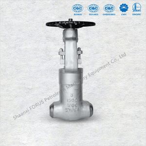 Flange Ends Cast Steel Gate Valves ASME B16.5 Size 2" To 36" API 6D