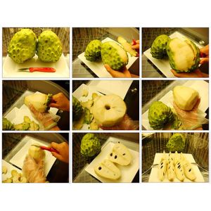 Anti-cancer high quality 100% pure soursop extract-Annona Muricata L.