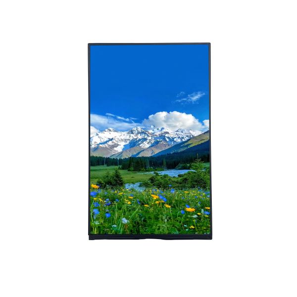 Cheap Portrait 10.1 inch FHD TFT LCD Module T-con Board with IPS Viewing Angle and Resolution 1200*RGB*1920 for sale
