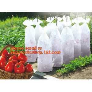 Transparent Low Tunnel Film Perforated For Culture Of Seedling Maturing