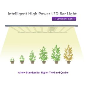 Spectrum Plant 1000W LED Grow Lights 2.8umol/J ETL Approved For Seedlings