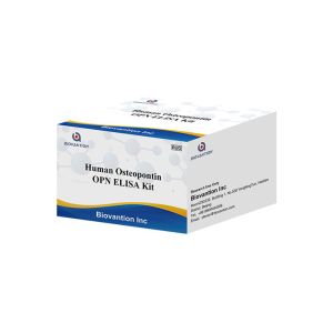 China 48 Wells Human Osteopontin Elisa Kit OPN / Secreted Phosphoprotein 1/SPP-1 on sale