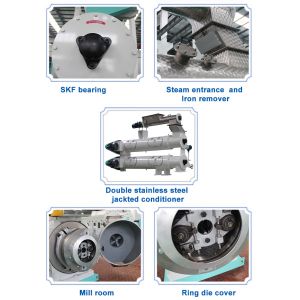 3 To 5T/H Fish Feed Floating Pellet Making Machine 350mm Ring Die Pellet Mill