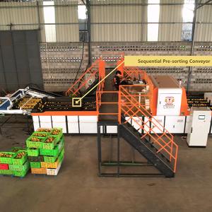 Cheap Revolutionizing Orange Sorting Machine With AI Deep Learning Technology for sale