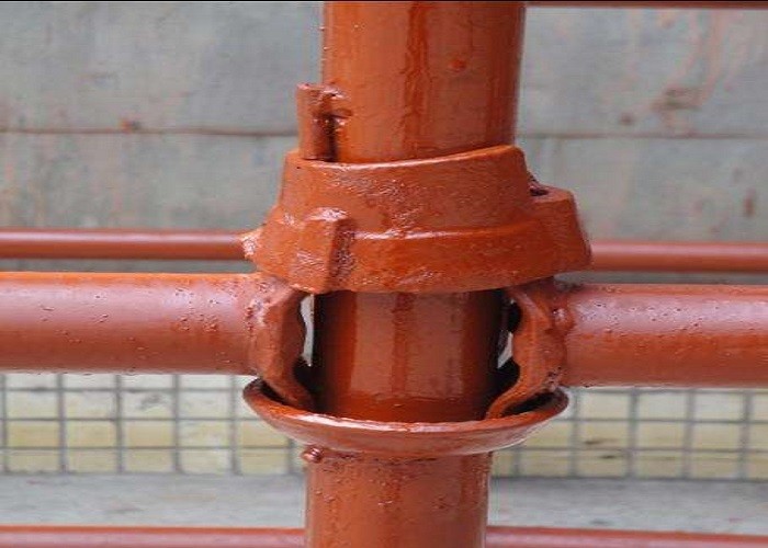 Customized Adjustable Cuplock Scaffolding System High Loading Capacity